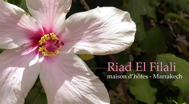 Riad El Filali Marrakech